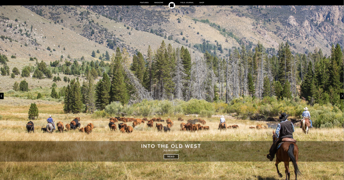 Man on horseback herding cattle in the mountains of California.