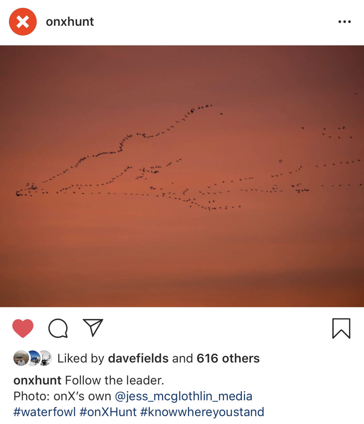 Instagram image from onX Hunt of geese flying in a "v" in the sky at red dawn. 