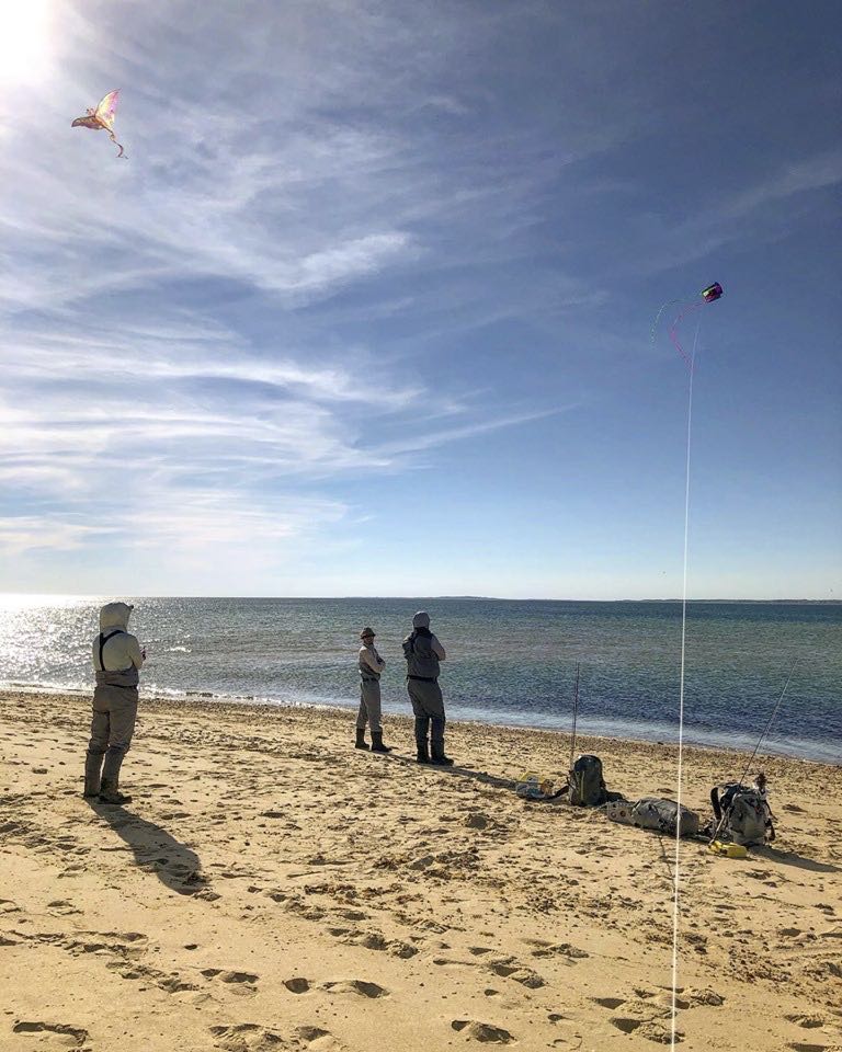  Fly fishermen and women flying kites while waiting for the tide to change on Martha's Vineyard. 