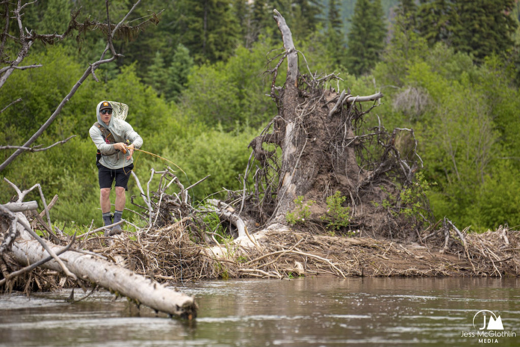 Jared Larsen fishing for cutthroat trout in a small stream in western Montana during summer. Jess McGlothlin Media image.