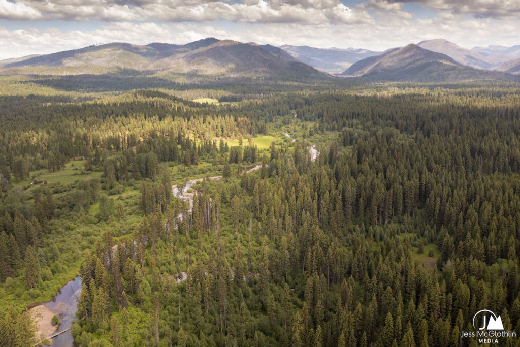 Aerial drone view of a small stream in western Montana during summer in wilderness. Jess McGlothlin Media image.