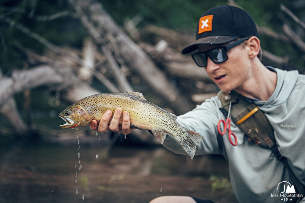 Jared Larsen fishing for cutthroat trout in a small stream in western Montana during summer. Jess McGlothlin Media image.